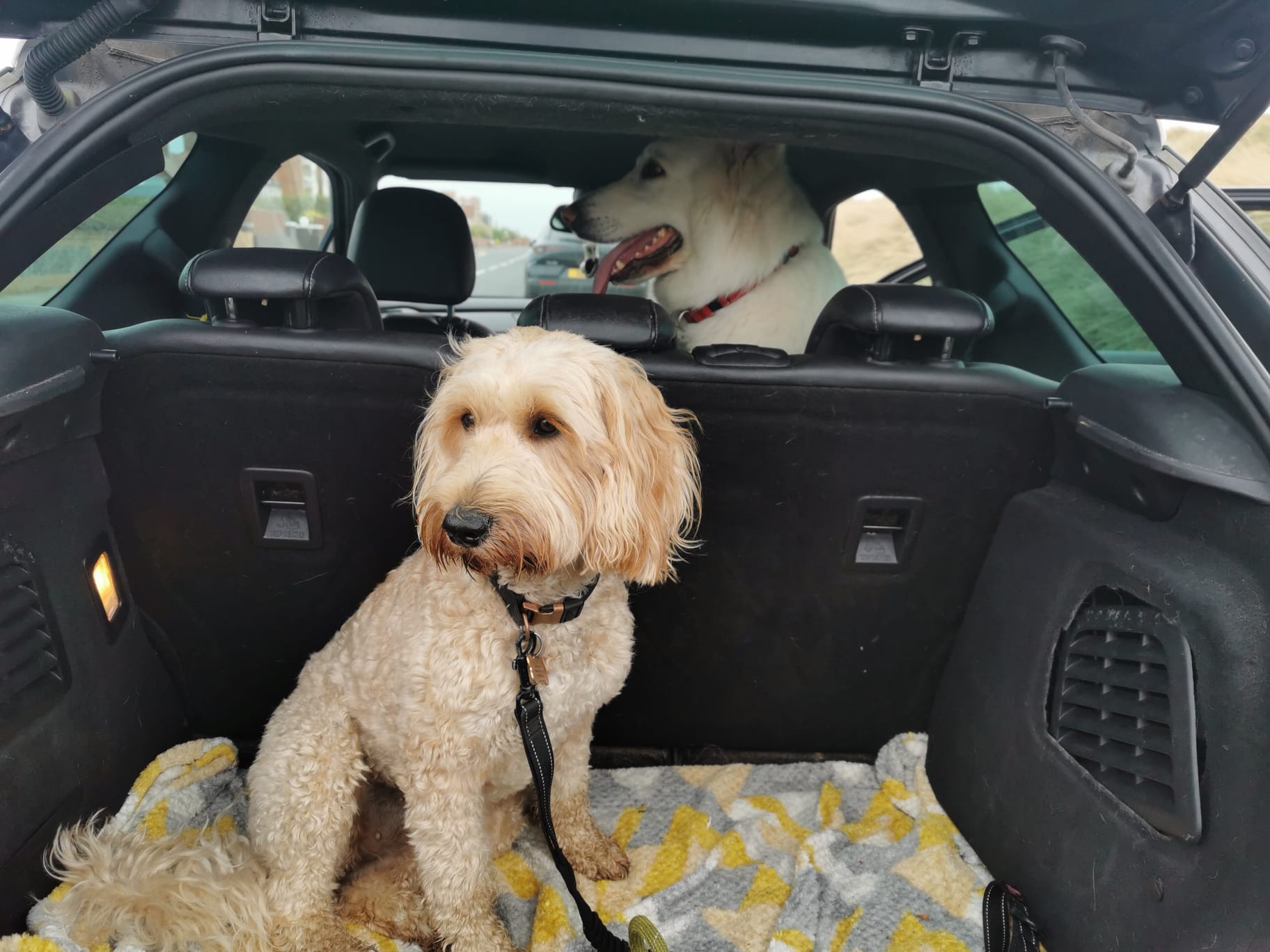 IMG-20240516-WA0008