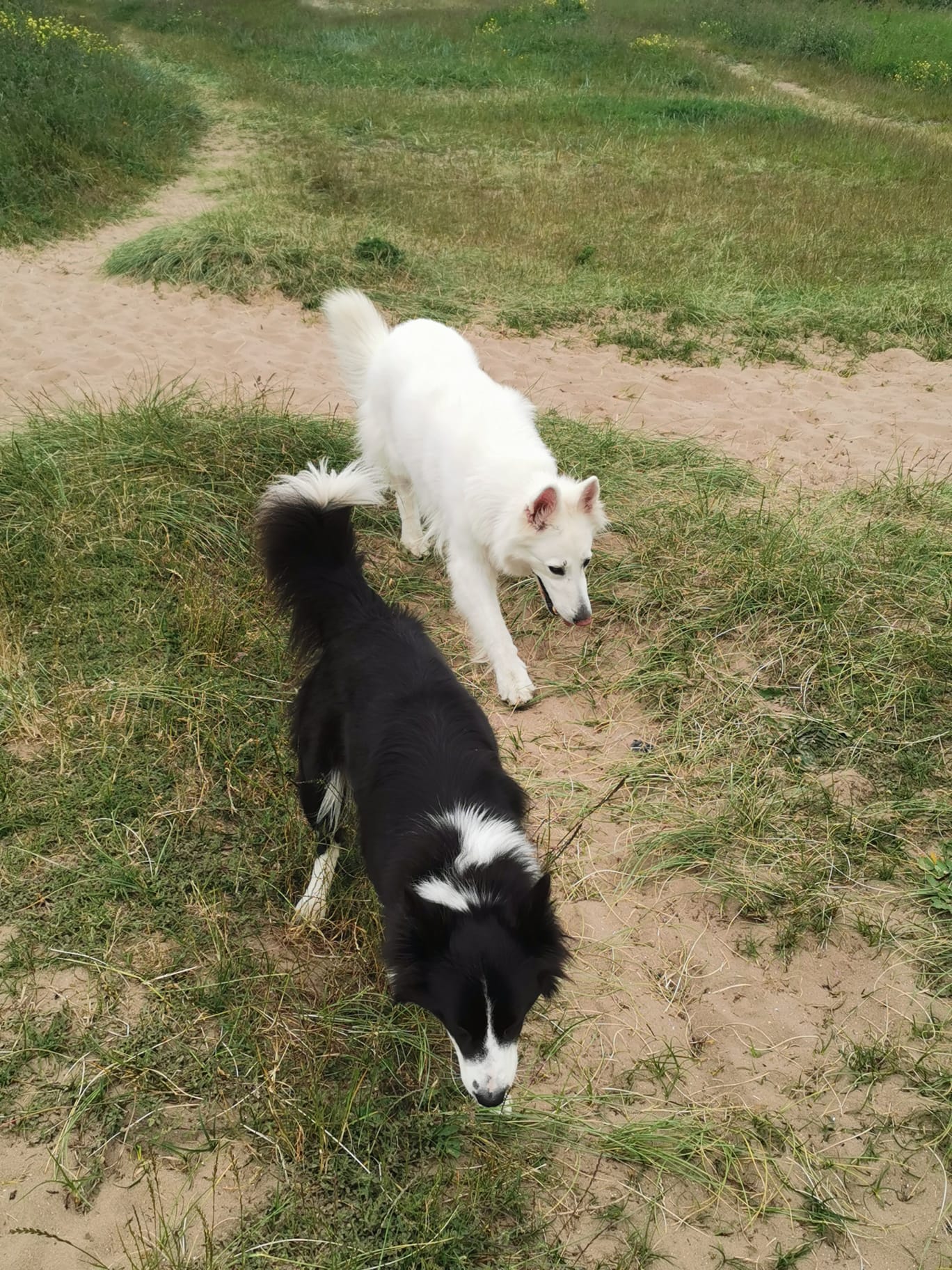 IMG-20240615-WA0006