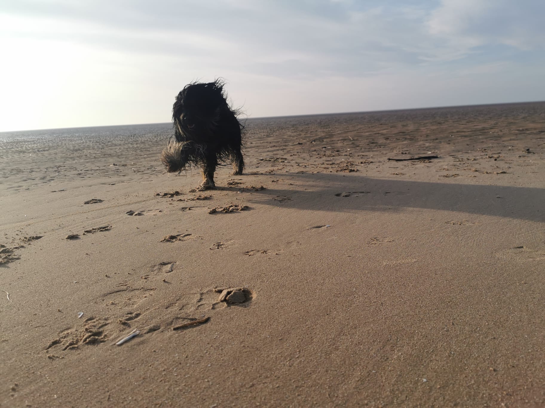 IMG-20250122-WA0006